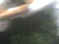 Bimbo vs pakito vs lule vs mauricio - YouTube