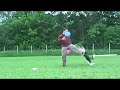 Ron Watson Discdogger weekly Frisbee dog Freak Ron Watson Discdogger weekly Frisbee dog Freak