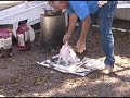 RV Cooking Show - Gourmet Trash Can Turkey RV Cooking Show - Gourmet Trash Can Turkey