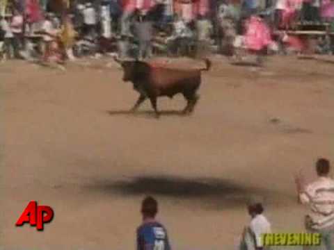 Man Gored to Death During Bull Fight Festival