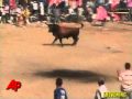 Man Gored to Death During Bull Fight Festival