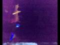 videos de dance show