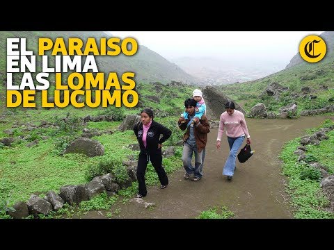 video video