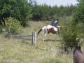 A Nice Little Trail Ride (Yeah RIGHT)