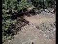Bigfoot Sightings 2009