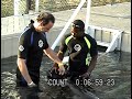 Sea Lion Video Part 2 Sea Lion Video Part 2