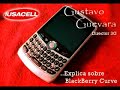 Gustavo Guevara y el BlackBerry Curve 3G de Iusacell Gustavo Guevara y el BlackBerry Curve 3G de Iusacell