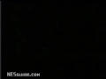 www.nesguide.com