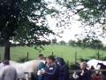 applebay horse racing