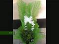 City-garden Ditribution Suceava