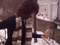 Backyard Chickens\