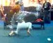 Internext Expo Las vegas 2006