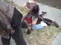 Ghetto Fights