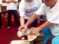 Tai Chi Brick chopping