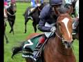 Equines That have Touched Our Lives