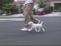 Sugar Movement Video