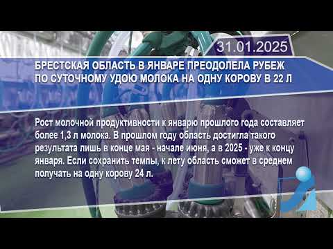 Новостная лента Телеканала Интекс 31.01.25.