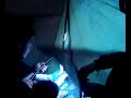 stefan songs