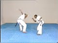Advanced Capoeira. Mestre Paulao Ceara. 01.