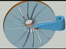 Examples of CFD