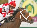 Time For Me To Fly~ Race Horses