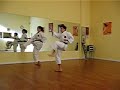 gekisai dai ichi