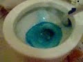 Ronin vs Toilet III - The Outcome