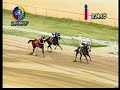 Sicotico, Su Debut, Tumbo el Jinete