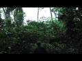 SICK BIRDS DIE EASY - Official Trailer (2013)