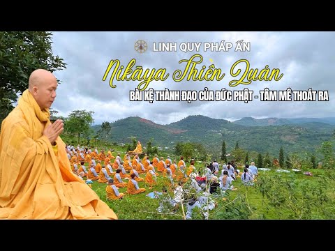 NIKAYA Thiền Quán - Bài Kệ Thành Đạo Của Đức Phật - Tâm Thoát Ra **
