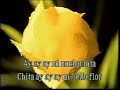 Dulcemente Bella - Miguel Moly - Karaoke