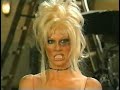 parody of vip and pretty much every other thing pam anderson's every done.