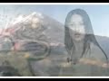 ManIranam (Elham Sataki)
