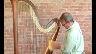 How to Clean Your Harp