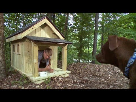 how to build dog house