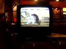 chudy (stv) vs bati (kng) @ puls tekken party