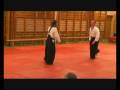 videos de ki aikido shomenuchi sweden
