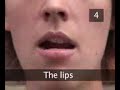 How To Kiss Someone Passionately How To Kiss Someone Passionately