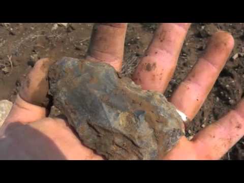 Arrowhead Hunt at L Lake Field May 15 2012
