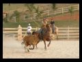 Team Roping