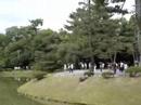 平等院鳳凰堂