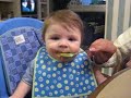 07 - 11 November Florida B feeding and making faces 3