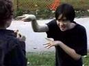 Way of the Snake