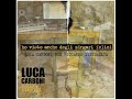Luca Carboni e Riccardo Sinigallia - Ho Visto Anche Degli Zingari Felici