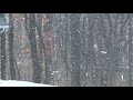 Snow Globe