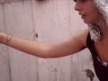 TRABALHO ST , FE PRATA  , MINA LINDA GOSTOZA