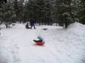 videos de Sledding near Dodge Ridge