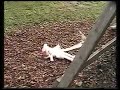 Reloaded: Improper Baby Swinging Techniques Vo. 1