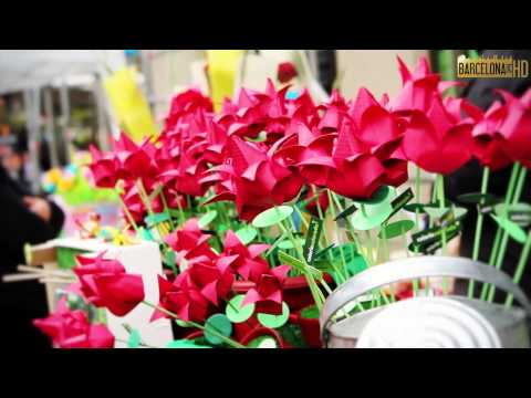 Sant Jordi 2013