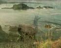 FORT BRAGG TEST